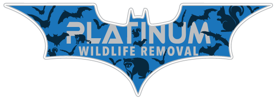 Wicked Wildlife Removal