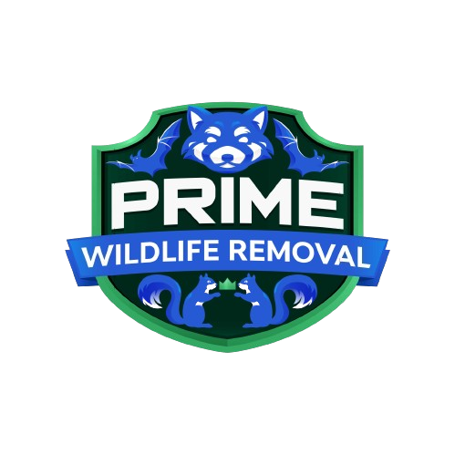 Wicked Wildlife Removal